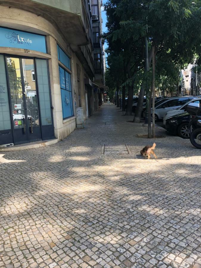 99 Flowers Flat Lisboa Εξωτερικό φωτογραφία